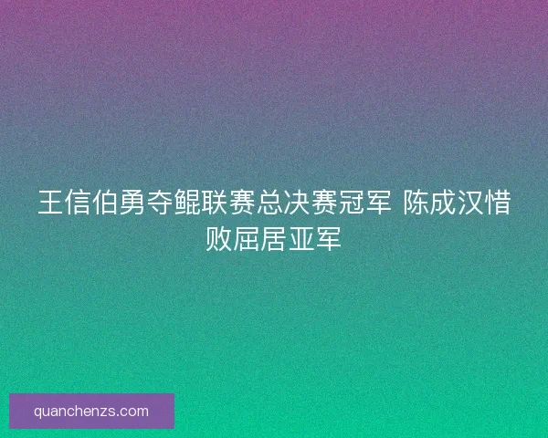 王信伯勇夺鲲联赛总决赛冠军 陈成汉惜败屈居亚军