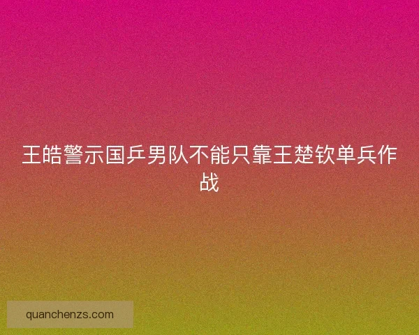王皓警示国乒男队不能只靠王楚钦单兵作战